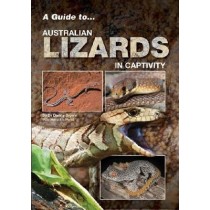 Lizards